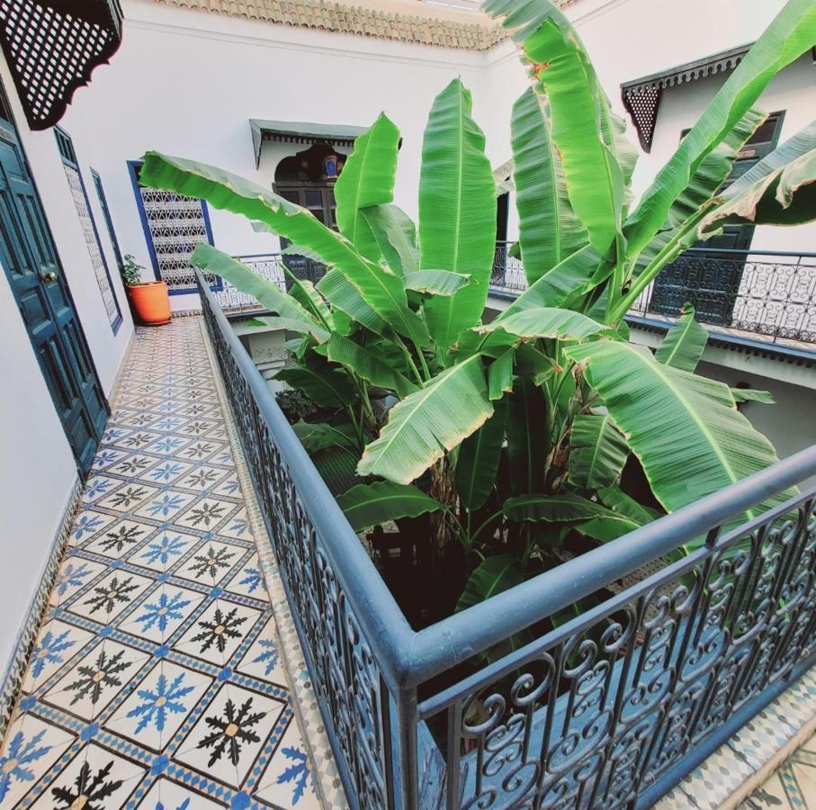 Riad Aloes & Spa (Adults Only) مراكش المظهر الخارجي الصورة