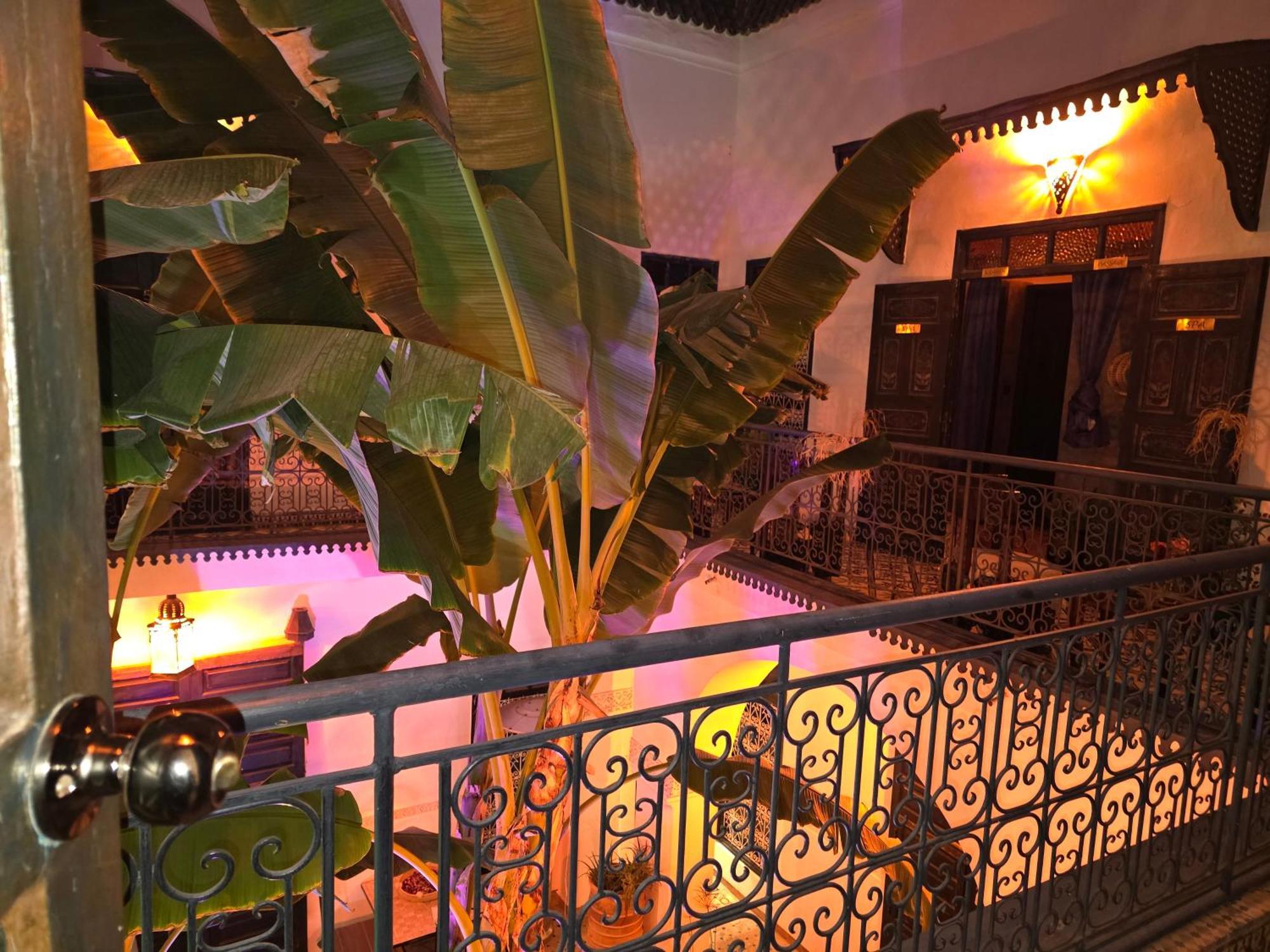 Riad Aloes & Spa (Adults Only) مراكش المظهر الخارجي الصورة